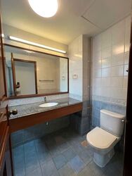 Gold Palm Mansion (D15), Apartment #573980641